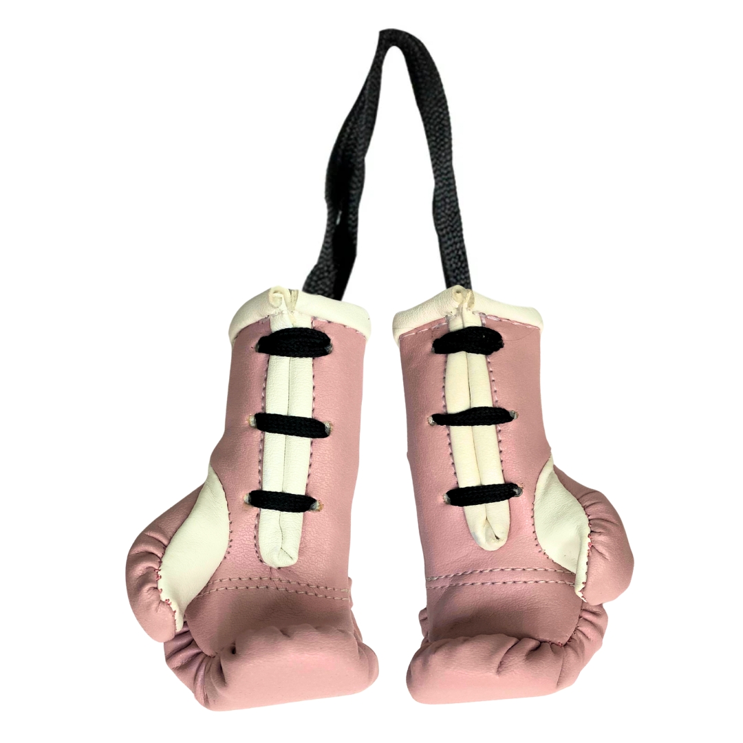 Cleto Reyes miniature pair of gloves