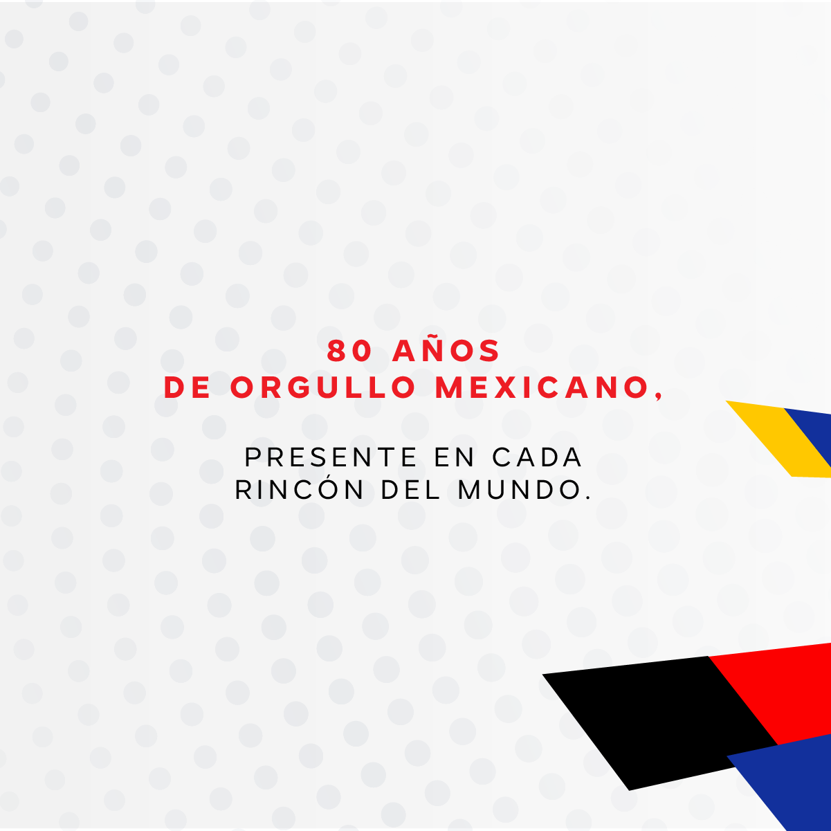 Guantes Premium Fiber Colección "World Legacy"