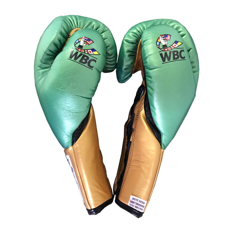 Cleto Reyes WBC official leather fight gloves