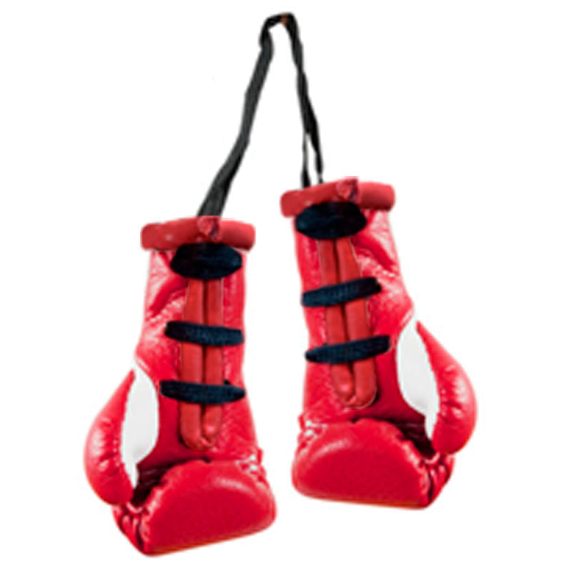 Cleto Reyes miniature pair of gloves