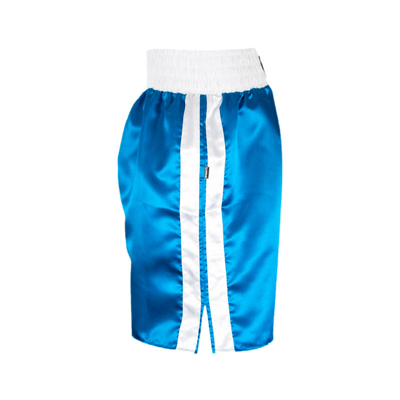 Cleto Reyes boxing shorts