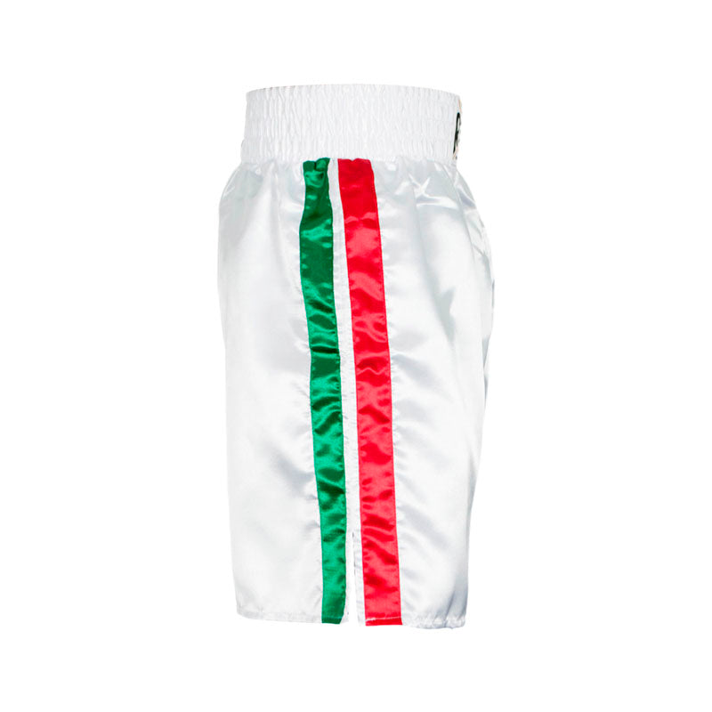 Cleto Reyes boxing shorts