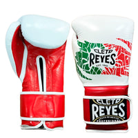Cleto Reyes Leather Contact Closure Gloves