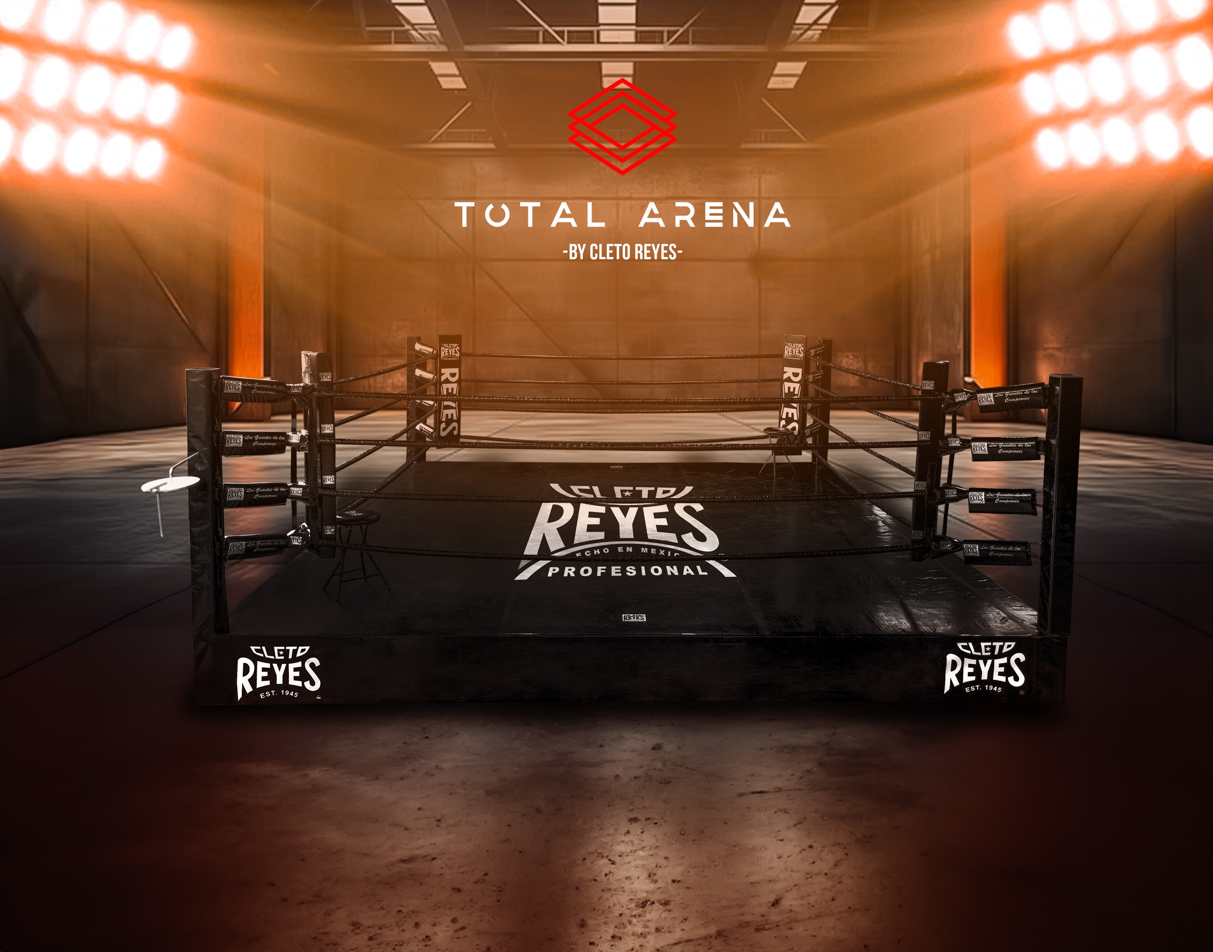 Ring "Total Arena" Sparring