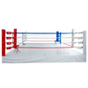 Ring "Total Arena" Sparring