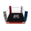 Ring "Total Arena" Escenario