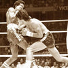 Amado Ursúa