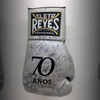 70 Años en los Puños de los Campeones