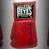 Inducción al Museo de Leyendas del Boxeo 2012