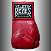 Noche de Campeones del WBC 2006