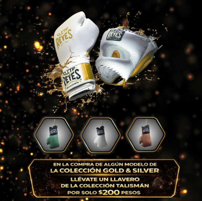 Cleto Reyes head protector with nylon V bar in leather