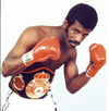 Michael Spinks