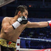 Nonito "Flash" Donaire