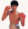 Payao Poontarat